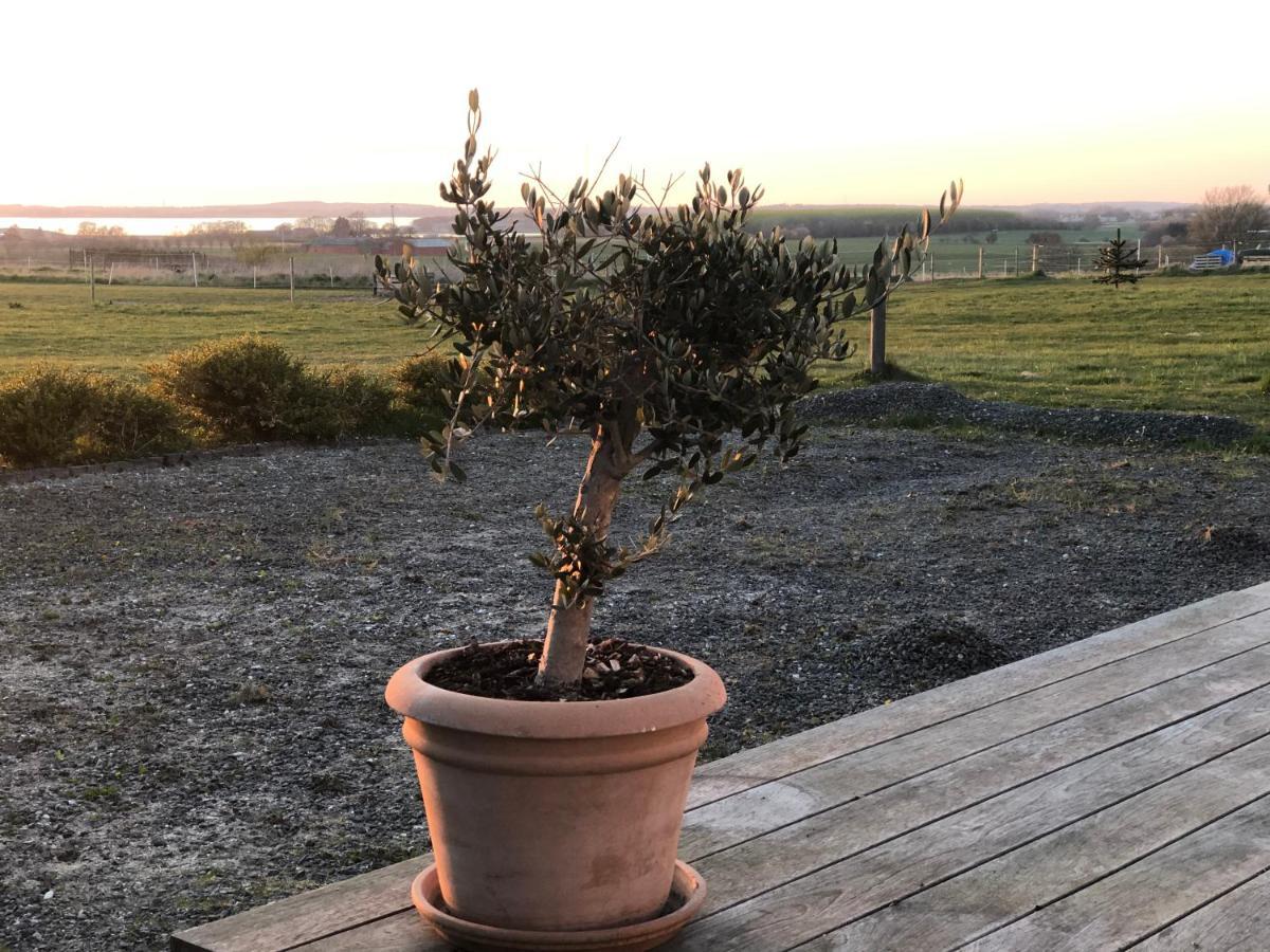 Country-living With A Lovely View And Own Terrace, Entrance And Parking Roskilde